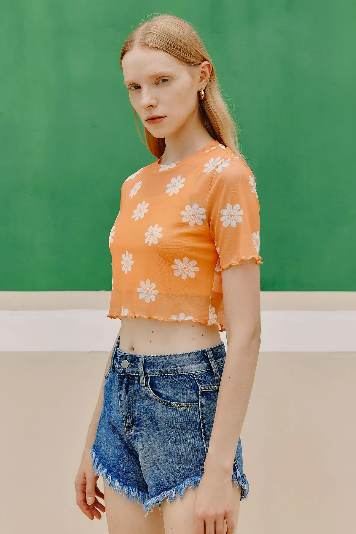 Floral Print Sheer Lettuce Trim Crop Tee