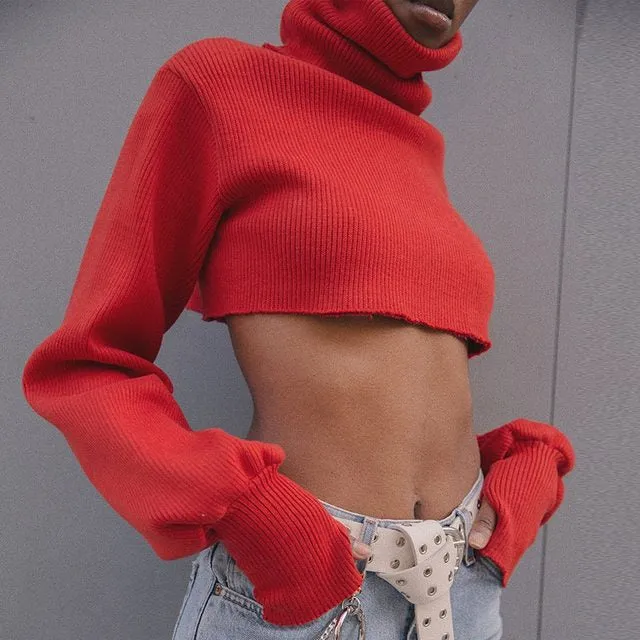 Ladies turtle neck oversize long sleeve crop sweater top